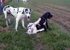 PICT0442